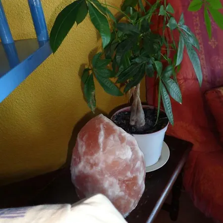 Mazet Apartment